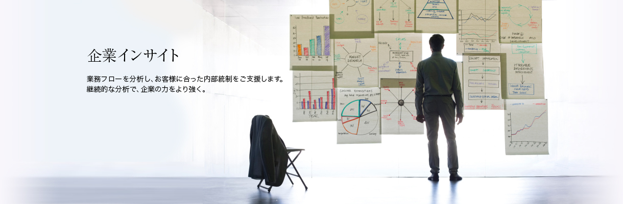 企業インサイト 業務フローを分析し、お客様に合った内部統制をご支援します。継続的な分析で、企業の力をより強く